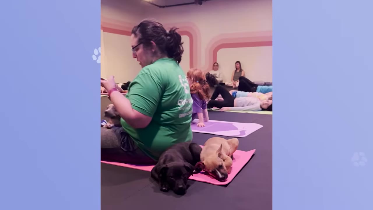 An instructor in a green t-shirt sits on a yoga mat facing a class of participants lying down, with two small puppies resting on a pink mat in the foreground.