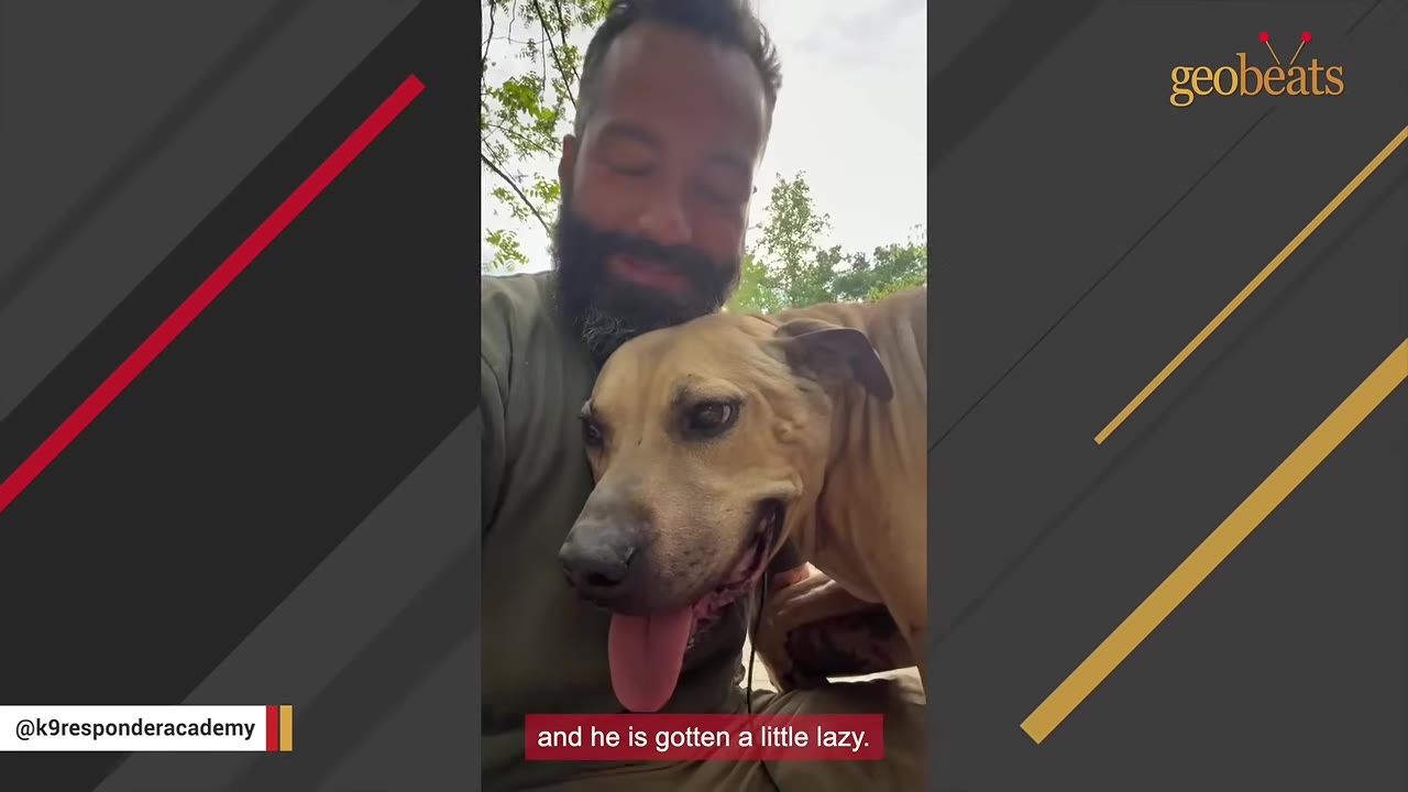 A close-up shot of a bearded man smiling as he cuddles a tan dog with its tongue out, with a subtitle reading 'and he is gotten a little lazy.'