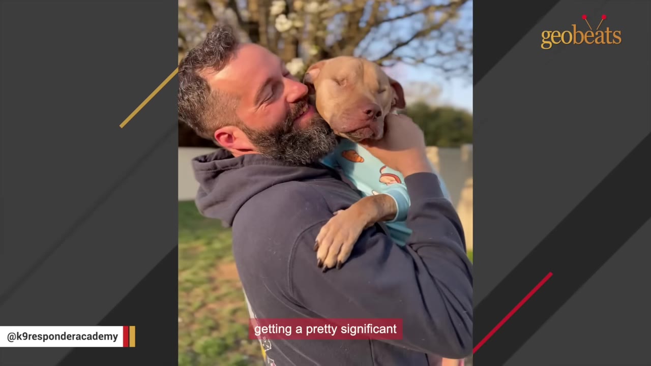 A smiling man with a beard hugs a light brown dog wearing a blue patterned shirt outdoors.