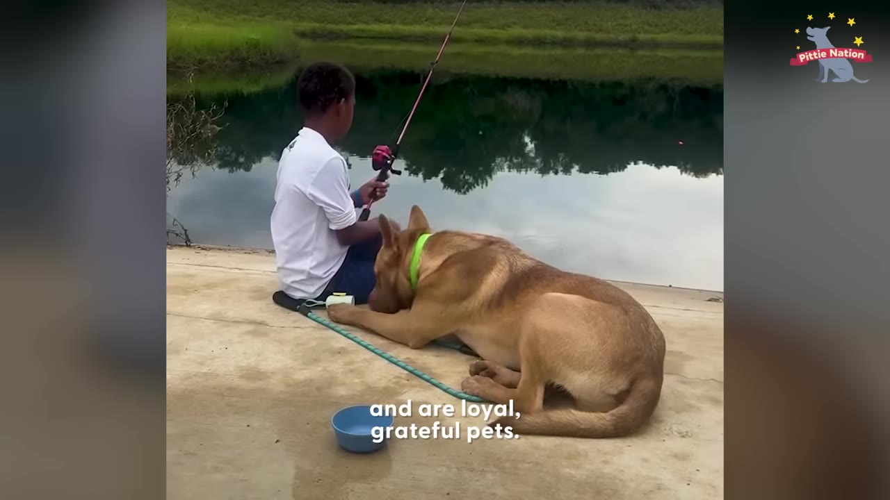 A boy sits by a calm lake holding a fishing rod, with a large brown dog lying peacefully beside him on the concrete bank.