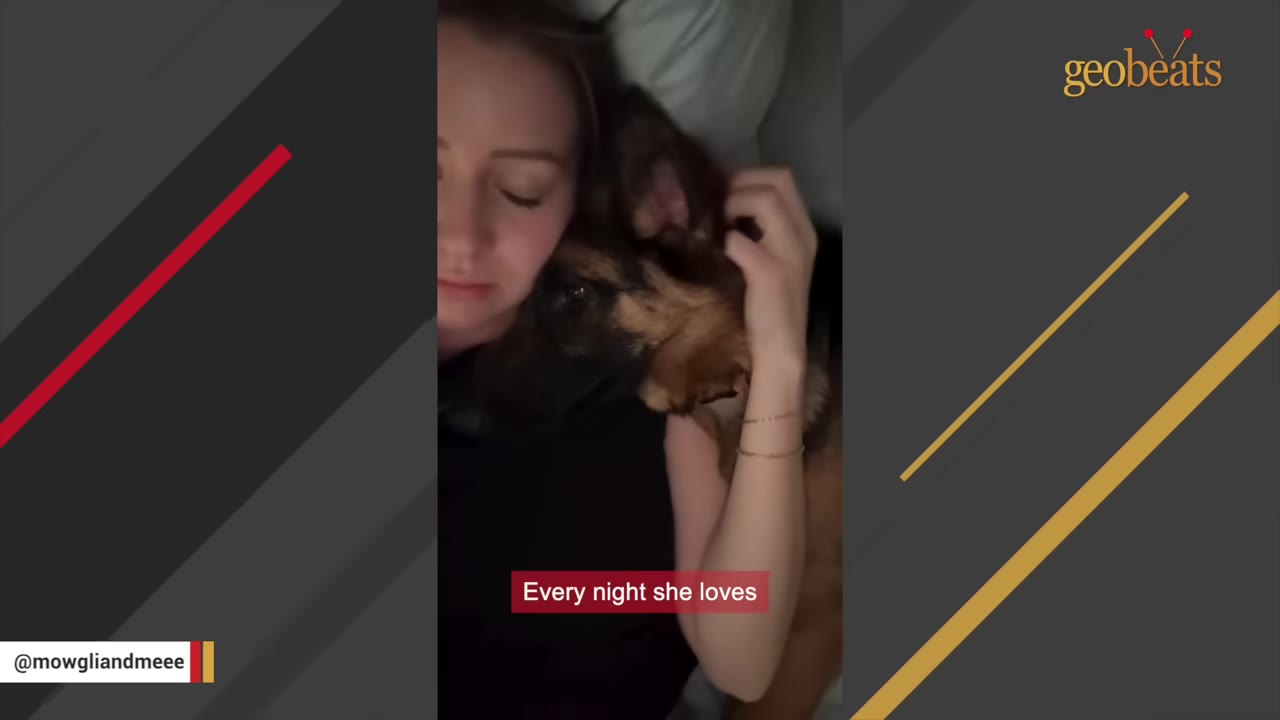 A woman lying in bed cuddling with a German Shepherd dog, gently petting its head.