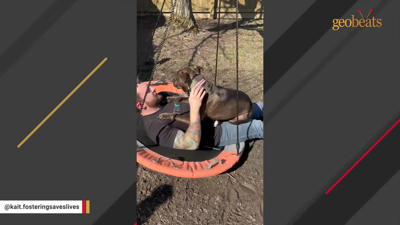 A man lies on a round outdoor swing with a brown dog resting on his chest as he pets her.