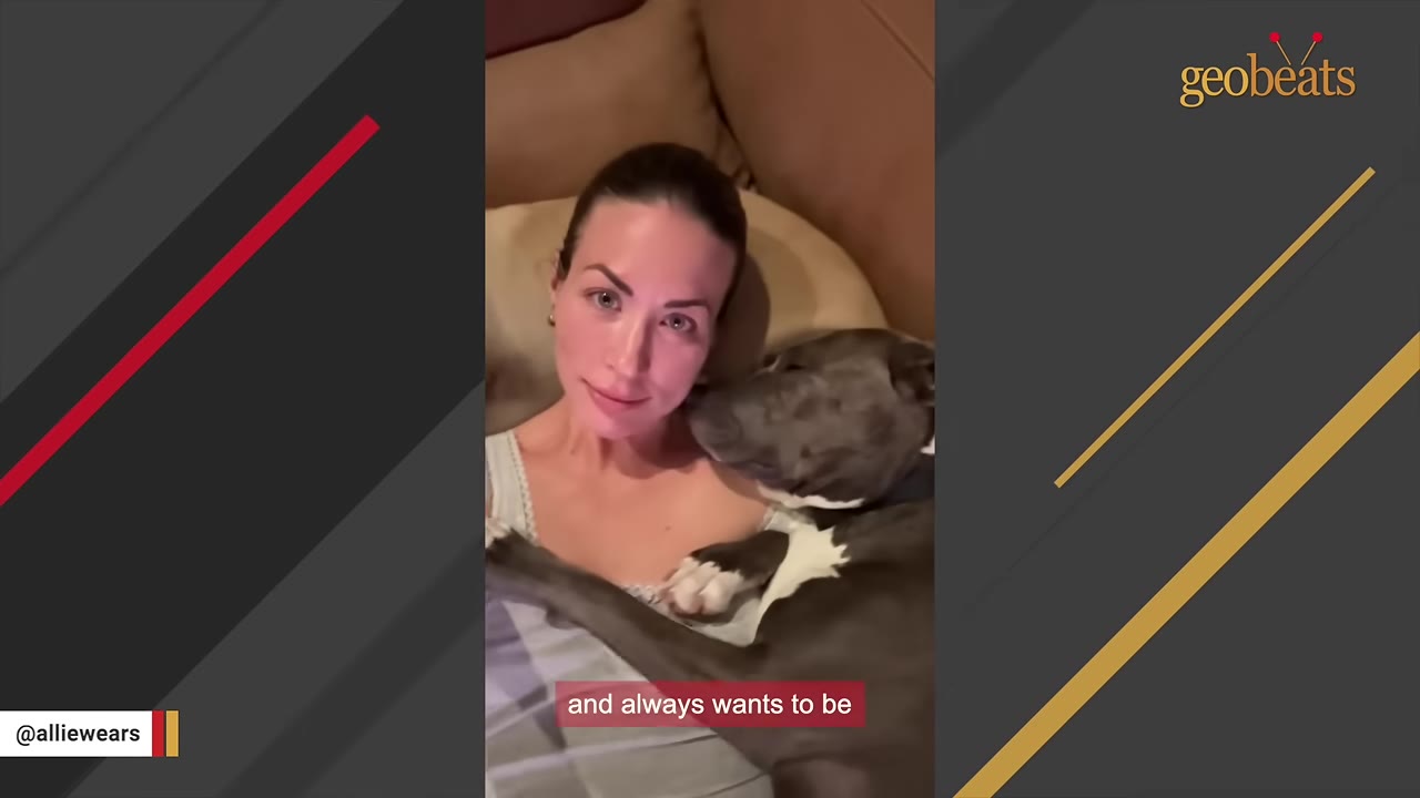 A close-up shot of a woman lying down on a couch with a grey and white dog cuddling close to her chest.
