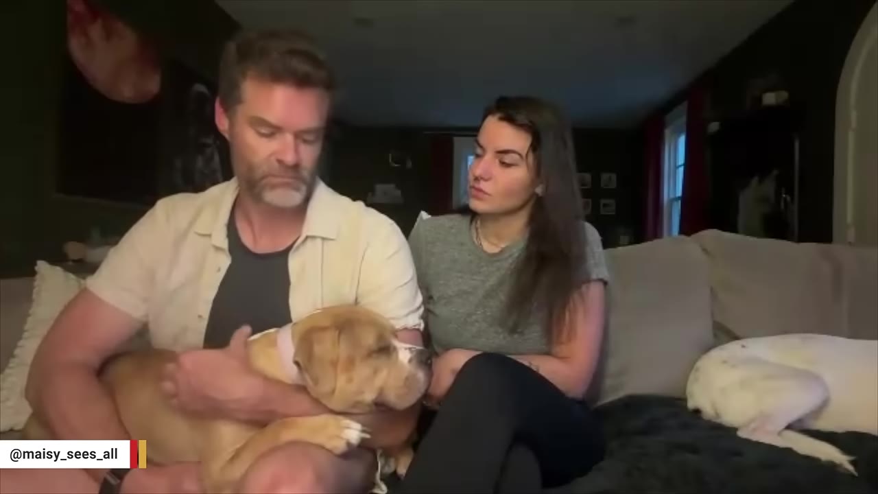 A woman sits on a couch next to a man who is holding a tan and white dog in his lap, looking at them with a soft expression.