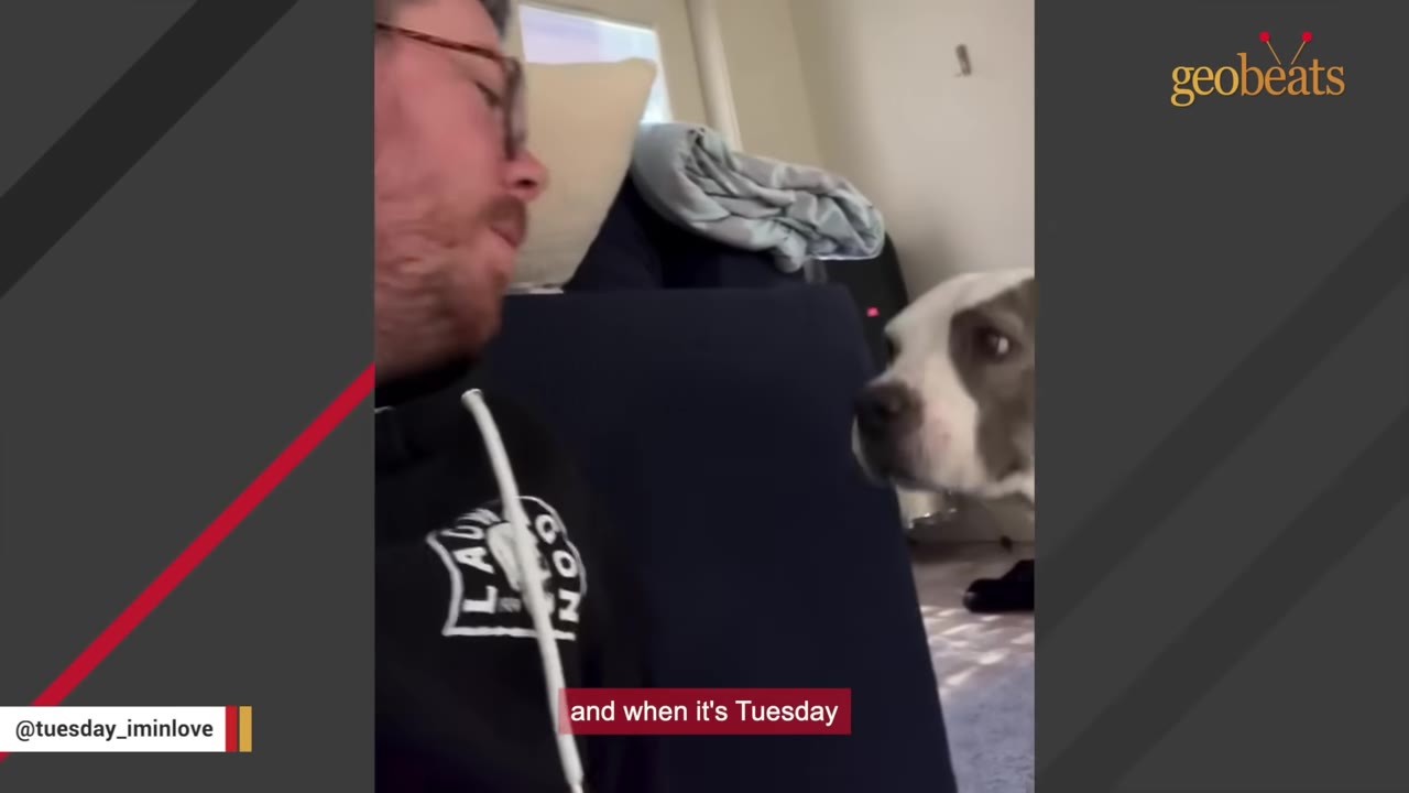 A close-up shot of a man wearing glasses and a black hoodie looking affectionately at a white and grey dog.