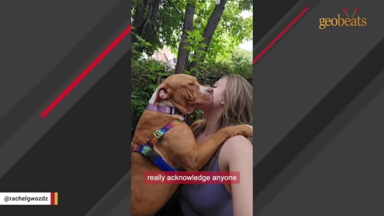 New York Volunteer Can’t Stop Thinking About The Dog Who Refused To Play And Asked To Be Held Instead