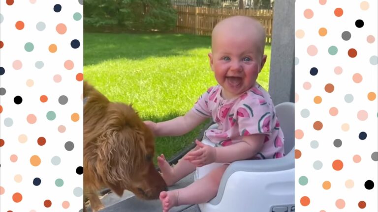 Lonely Georgia Dog Longed For A Companion Before Her Family Brought Home Something She Had Never Seen Before