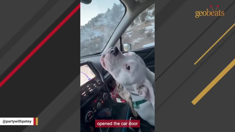 Texas Dog Was Punished For Being Too Loud, But His New Mom Refuses To Silence What Comes Next