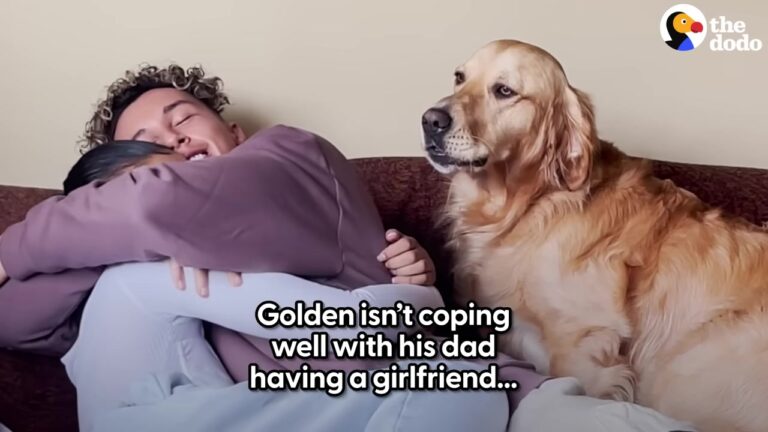 Jealous Texas Dog Watched His Dad Welcome A New Woman, Then Did Something Unexpected