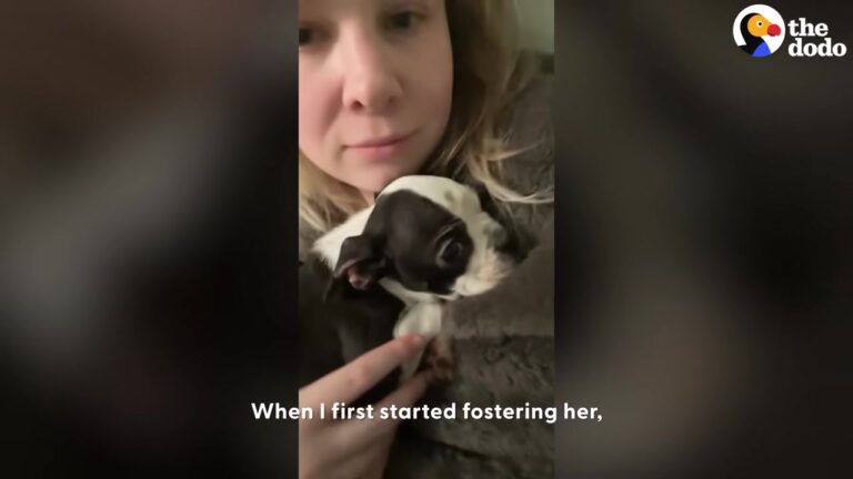 Texas Foster Mom Feared The Worst For A Sick Puppy Until A Tiny Wag Changed Everything