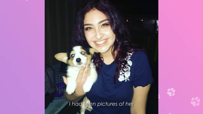 California Woman Battled Severe Anxiety Until A Tiny Puppy Stepped Out Of A Carrier And Changed Her Life
