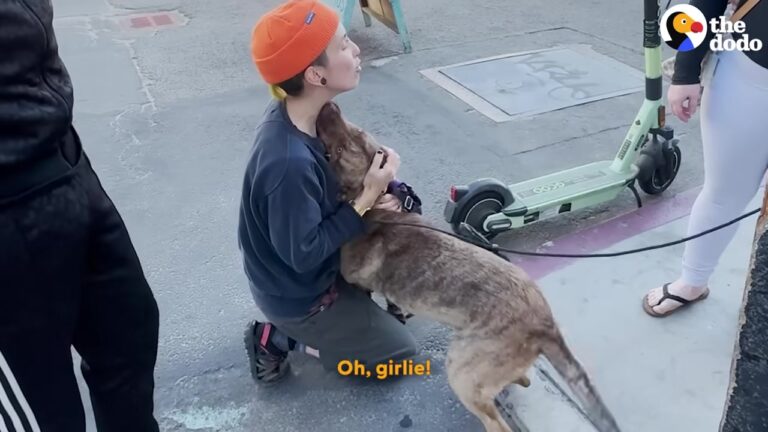 Heartbroken California Dog Was So Sick Her Caretakers Were Warned Not To Take Her Home, But They Did Something Unexpected