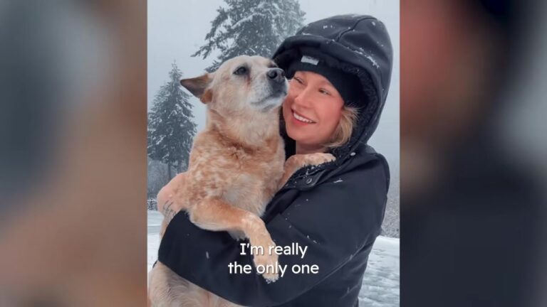 Washington Dog Was Supposed To Be Someone Else’s Companion Until She Locked Eyes With One Woman