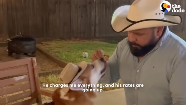 Texas Corgi Refused To Miss Out On Family Grilling, So His Dad Came Up With A Hilarious Solution