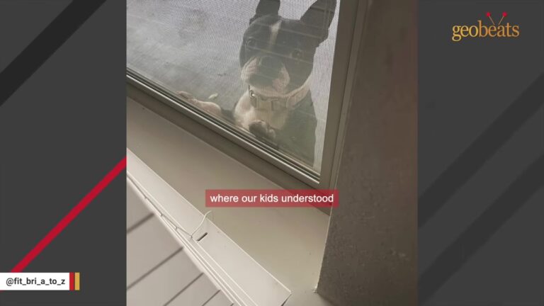 Texas Family Keeps Finding The Neighbor’s Dog At Their Back Door After He Breaks A Fence Board