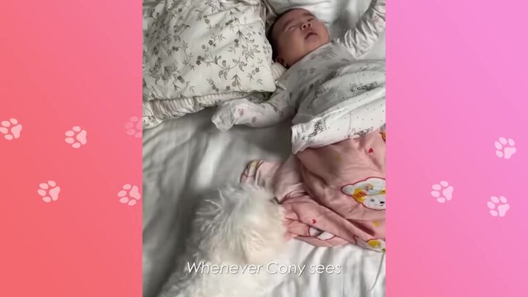 California Dog Saved From Being Returned To Breeder Forms The Most Magical Bond With A Baby