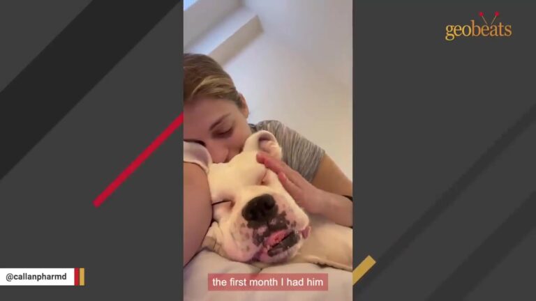 Rhode Island Dog Is Left Tied In A Freezing Garage, Then His Body Starts Doing Something Frightening