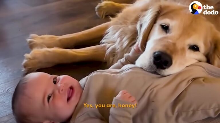 Colorado Mom Was Nervous To Bring Her Newborn Home To Her Dogs, But Their First Meeting Melted Her Heart