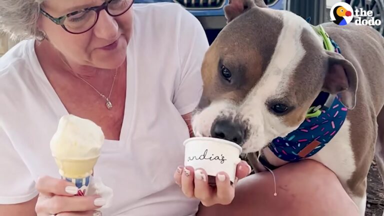 Ohio Puppy Wally Won Over The Grandma Who Warned Her Daughter About All The Messes