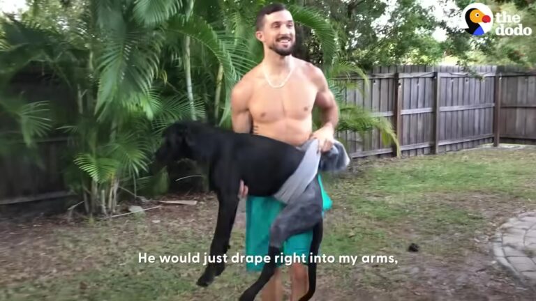 Texas Man Adopts A Three-Legged Dog Who Couldn’t Stand, And Gets The Inspiration He Desperately Needed