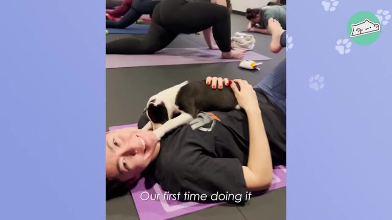 Colorado Rescue Started A Puppy Yoga Class And The Beautiful Connections That Followed Will Melt Your Heart