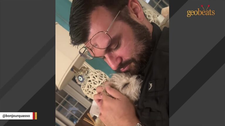 Florida Dog Terrified Of Her Foster Dad Experiences A Beautiful Change Of Heart After A Major Surgery