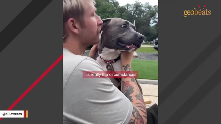 North Carolina Neighbor Approaches A Dog’s Owner About The Heat And Gets A Response She Never Expected