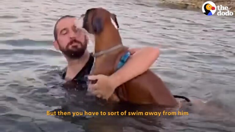 Florida Couple Thought Adopting A Puppy Was A Terrible Idea Until He Discovered The Ocean