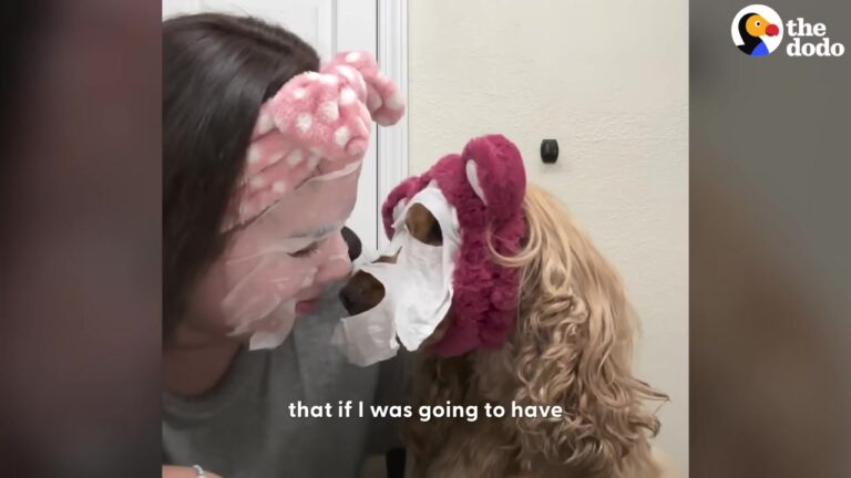 Dog’s Hair Wouldn’t Stop Growing, So His California Owner Turned Grooming Into Art