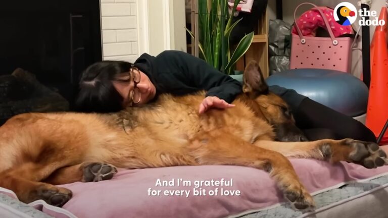 California Woman Creates A Special Routine For Her Senior Dog And His Reaction Is Pure Love
