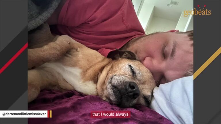 California Man Looks Into His 17-Year-Old Dog’s Eyes And Remembers A Promise He Made As A Child