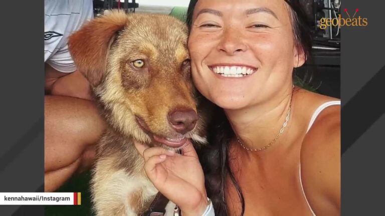 Puppy Was Thrown Back Over Hawaii Shelter Wall Only Weeks After Leaving With A New Family