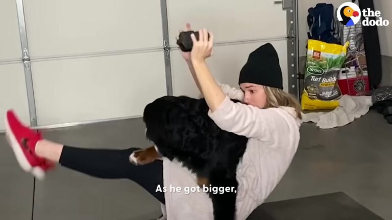 Oregon Dog Interrupts His Mom’s Workouts, But One Hilarious Habit Steals The Show