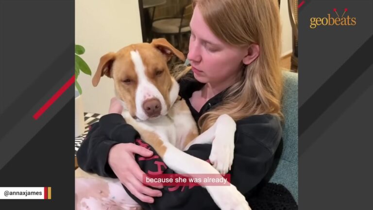 California Dog Was One Hour From Euthanasia When Her Rescuer Heard Three Words