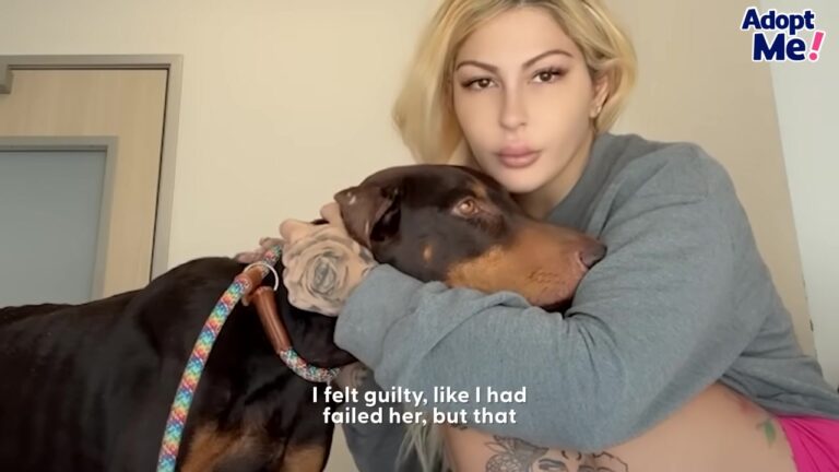 California Dog Fought To Keep Her Freezing Puppies Alive, And A Beautiful Reunion Changed Everything