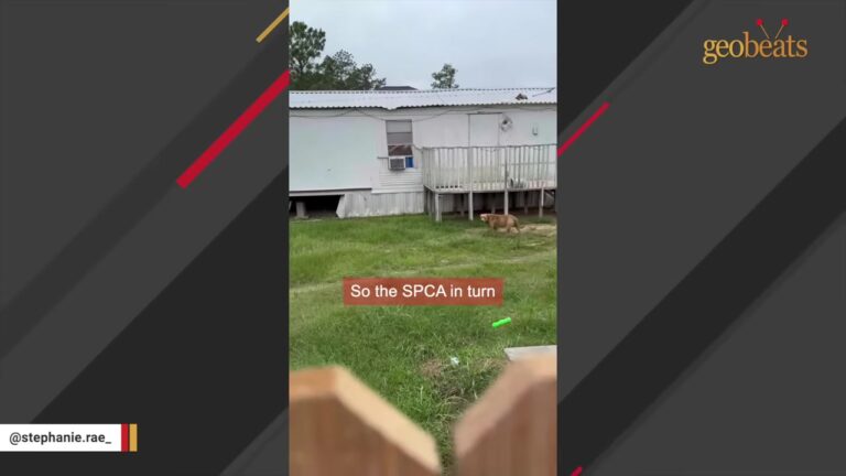 Texas Woman Hears A Mysterious Howl In Her Garage And Knows Something Is Not Right