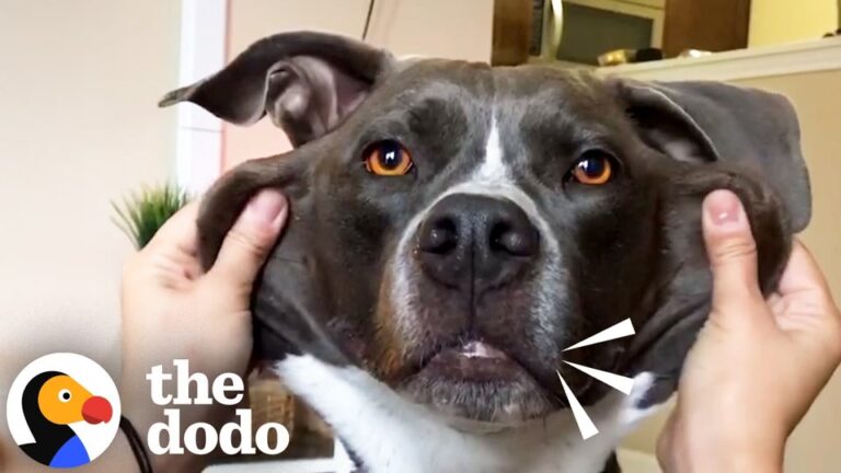 Texas Family Adopts A Rescue Dog And Are Stunned When He Starts Sounding Like A Turkey-Dinosaur