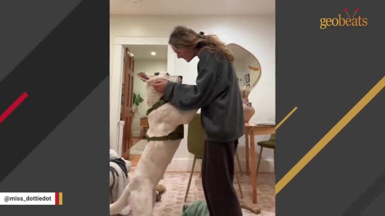 California Woman Returned Her Weekend Foster Dog, Then Started Sobbing In The Parking Lot