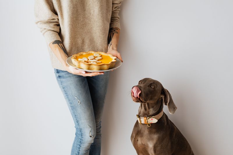Pumpkin Pie