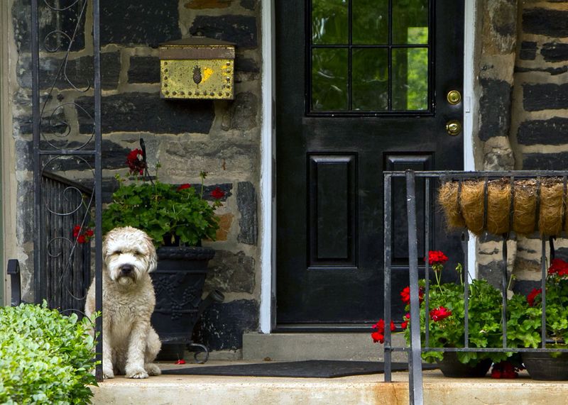 The Porch Becomes the First Stop for Dirty Paws
