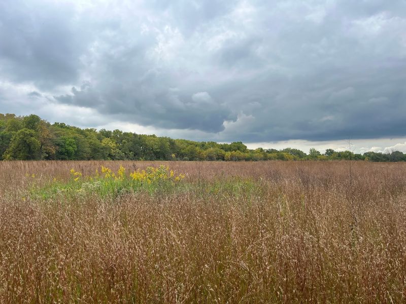 Midewin National Tallgrass Prairie, Wilmington