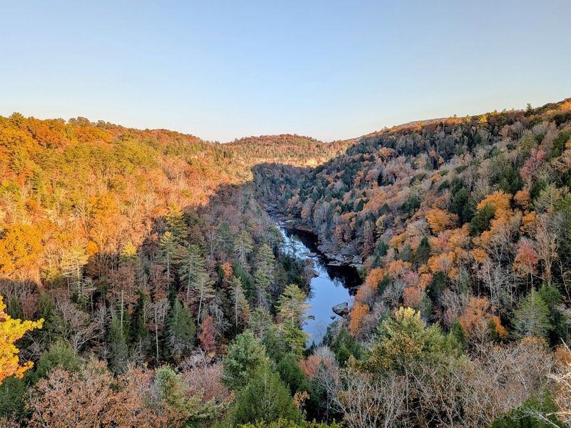 Lilly Bluff Overlook: A Little Walk Above Clear Creek