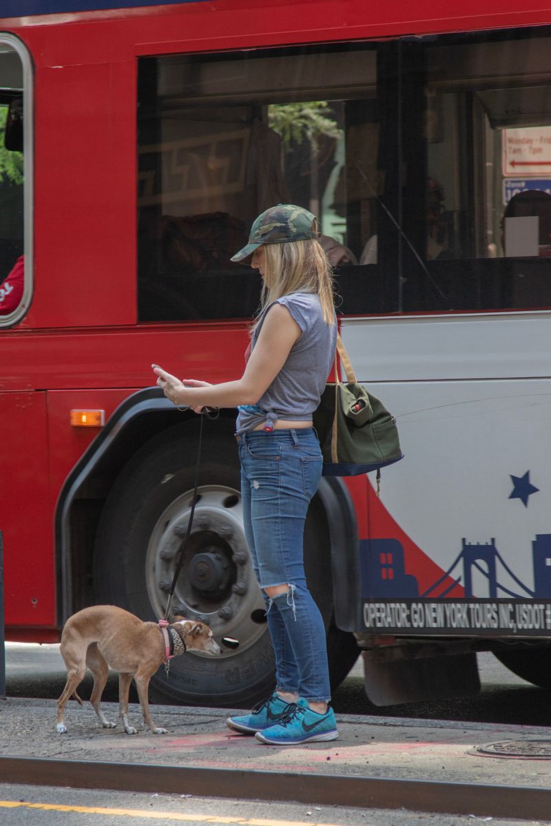 Check the Rules for Your Specific Transit Agency