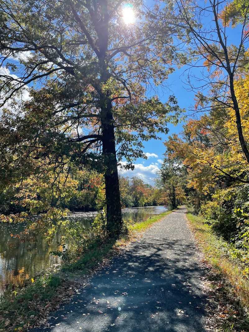 Delaware and Raritan Canal State Park: Check the Surface First