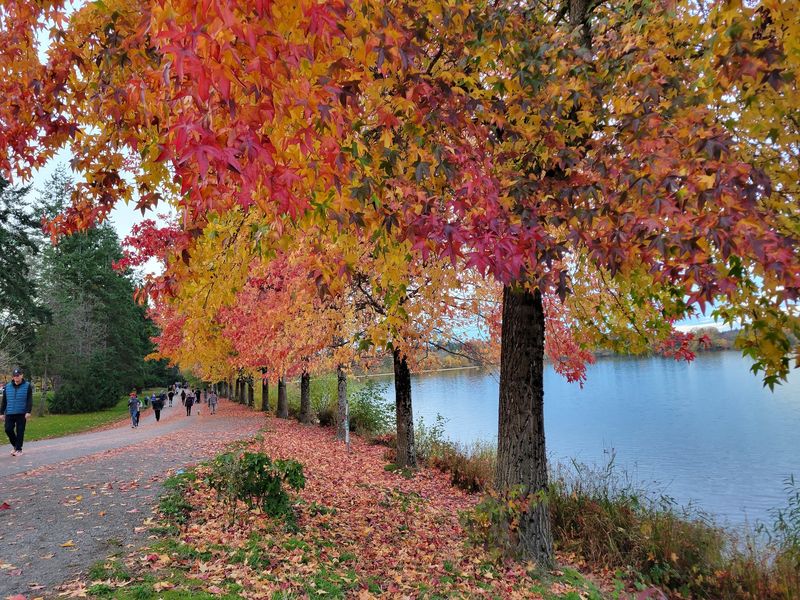 Green Lake Park Path: Lakeside Ease in Seattle