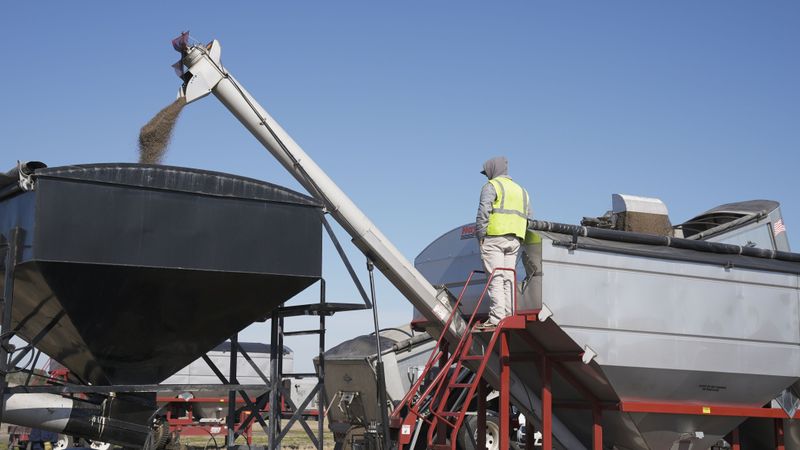 Grain Bins and Augers Can Be Dangerous for Curious Dogs
