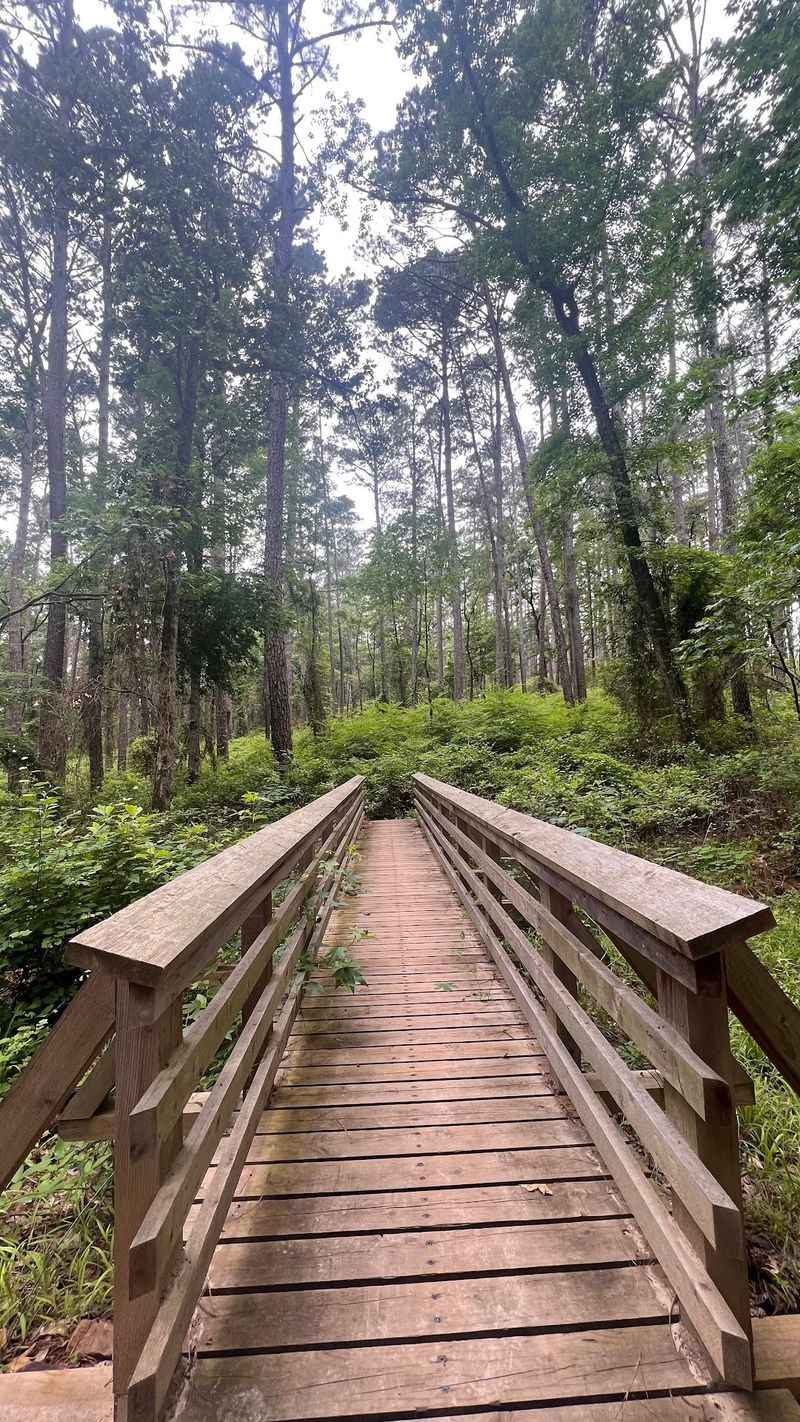 Tyler State Park's Longest Span