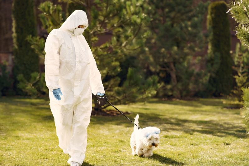 Check Whether the Pesticide Is Safe for Dogs