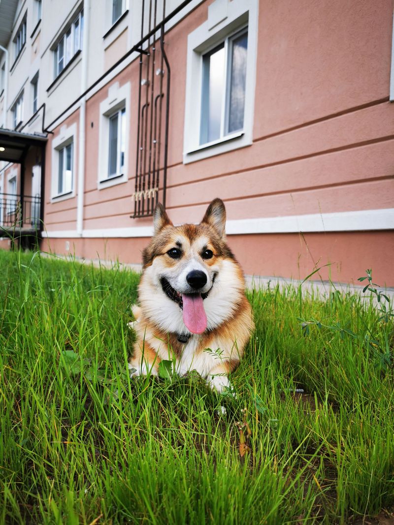 Pick One Go-To Potty Spot Near Your Building