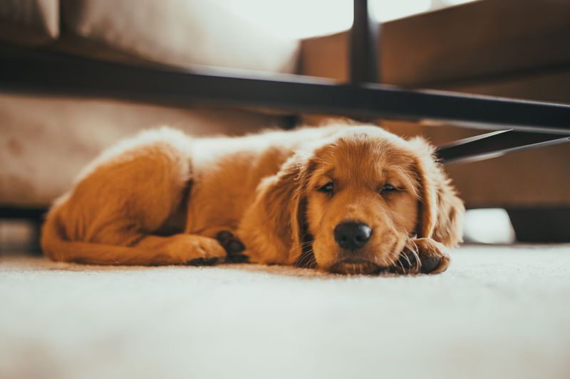 Quiet Indoor Settling